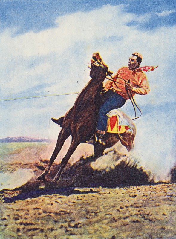 Cowboy che arresta rapidamente il suo cavallo (foto a colori) da Canadian Photographer