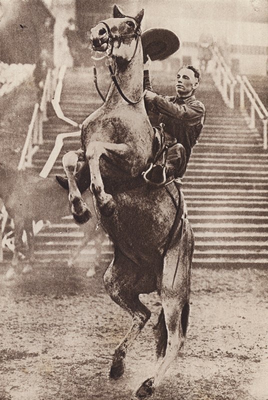 Cowboy al comando di un cavallo che si sta rialzando (foto b/n) da Canadian Photographer