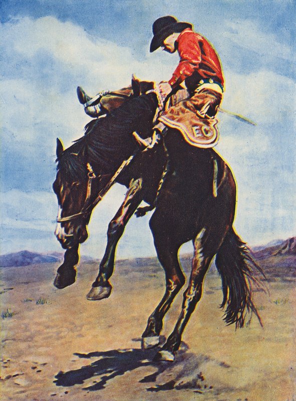 Cowboy in sella a un bucking bronco (foto a colori) da Canadian Photographer