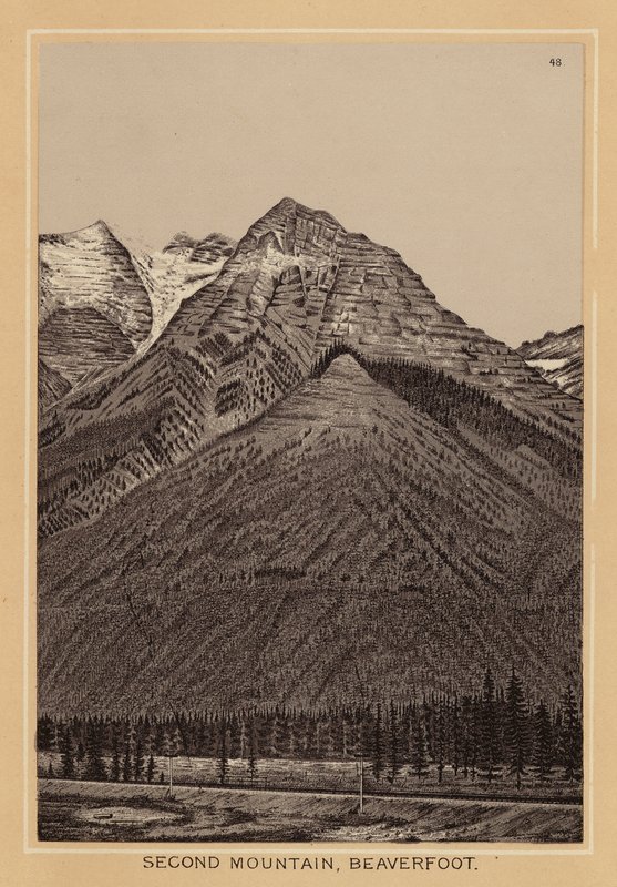Canada: Seconda montagna, Beaverfoot da Canadian School