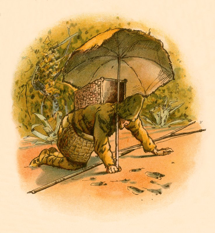 Robinson Crusoe vede impronte da Carl Marr