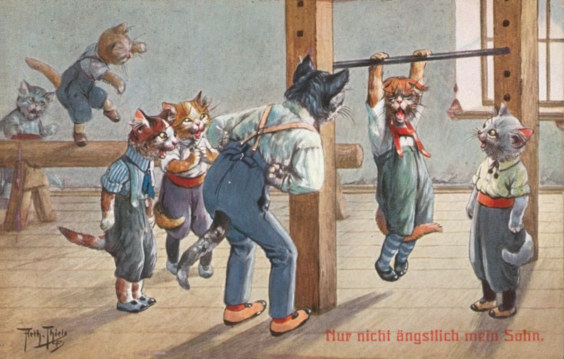 Cartolina umoristica di gatti da Carl Robert Arthur Thiele