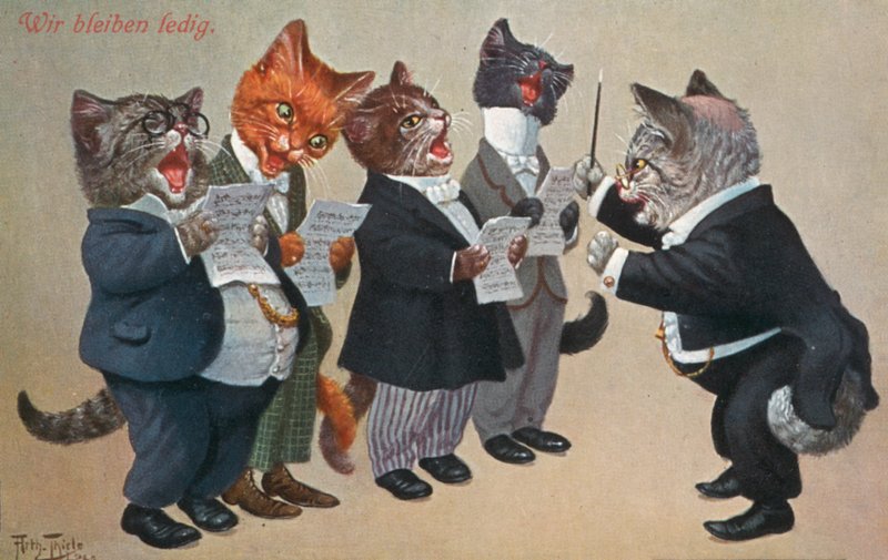 Cartolina umoristica di gatti da Carl Robert Arthur Thiele