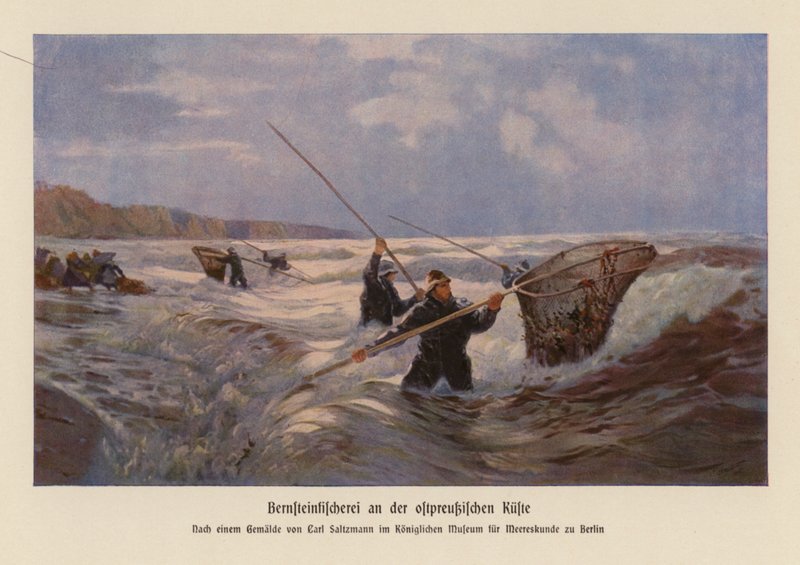 Raccolta di ambra nel Mar Baltico, Prussia Orientale da Carl Saltzmann