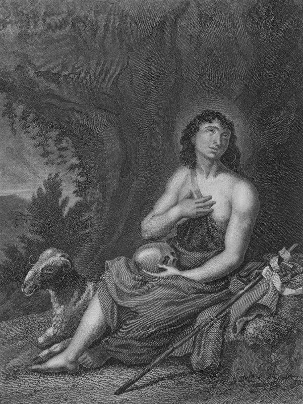 San Giovanni nel deserto da Carlo Cignani
