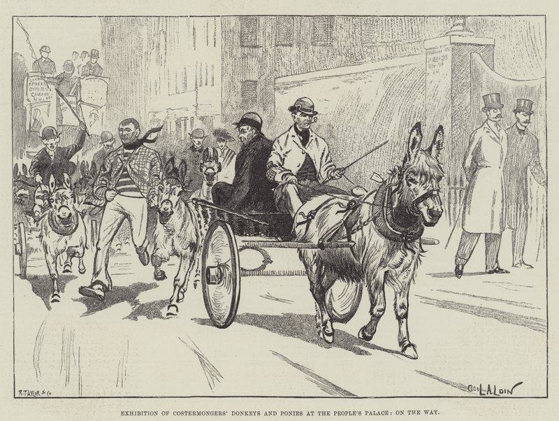 Esposizione di asini e pony dei costermongers al People