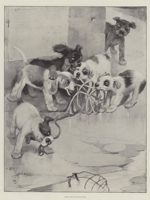 Rivoluzionari da Cecil Charles Windsor Aldin