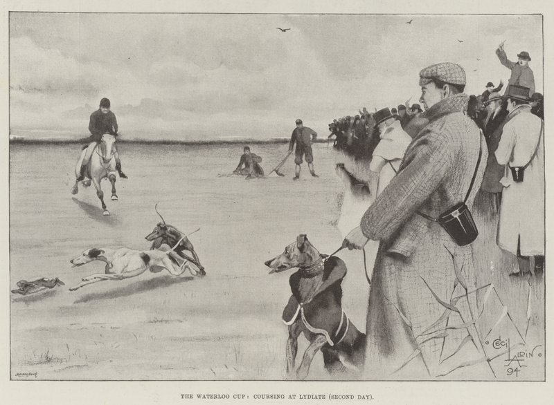 La Coppa di Waterloo, corsa a Lydiate, secondo giorno da Cecil Charles Windsor Aldin
