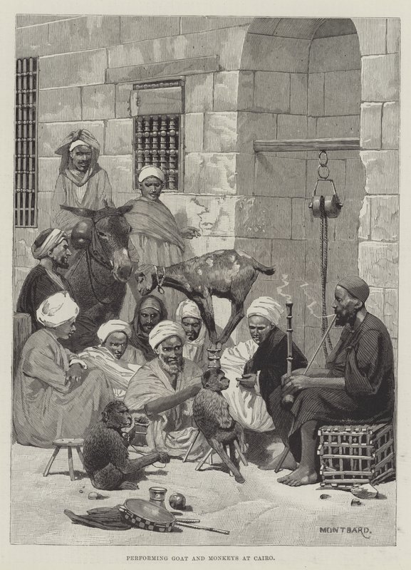 Capra e scimmie che si esibiscono al Cairo da Charles Auguste Loye
