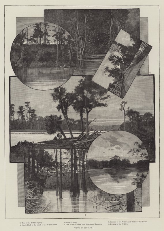 Vedute della Florida da Charles Auguste Loye