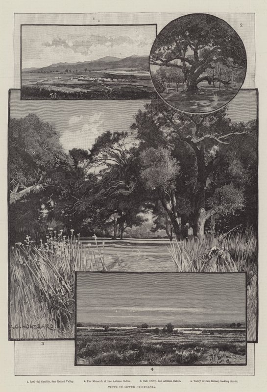 Vedute della Bassa California da Charles Auguste Loye