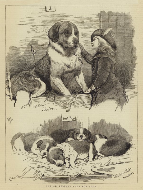 Mostra canina del Club di San Bernardo da Charles Burton