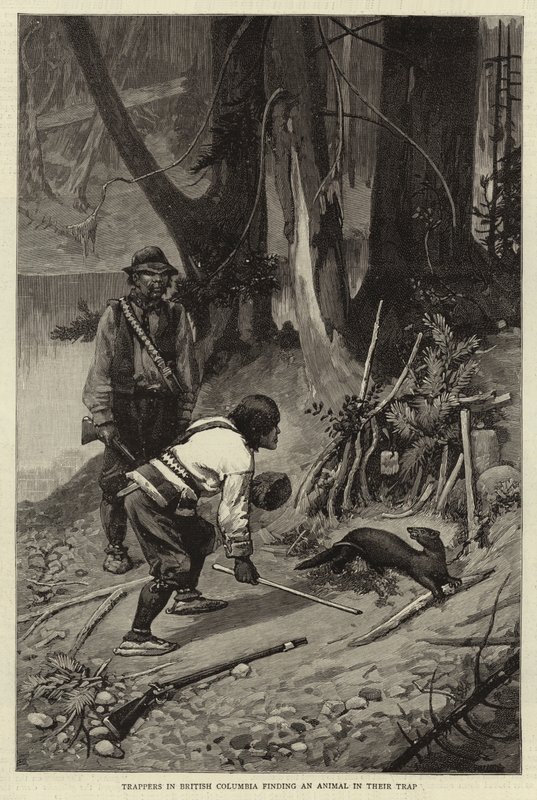 Trapper in British Columbia che trovano un animale nella loro trappola da Charles Edwin Fripp