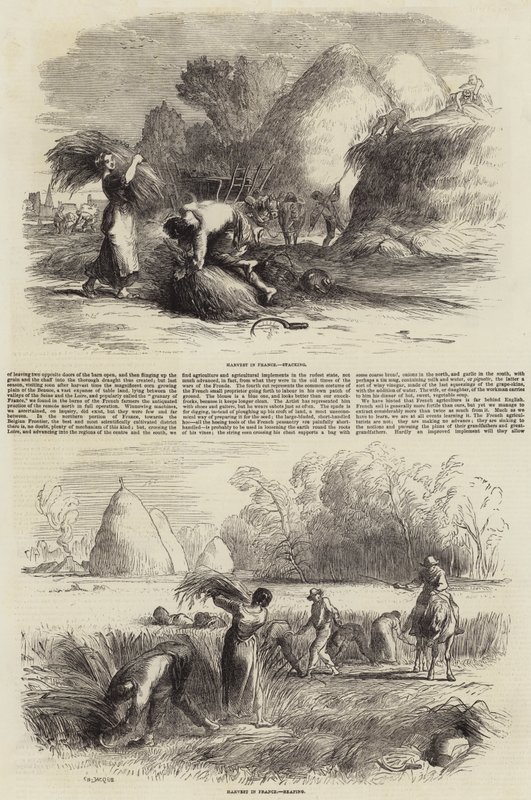 Agricoltura in Francia da Charles Emile Jacque