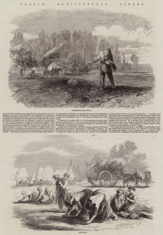 Scene agricole francesi da Charles Emile Jacque