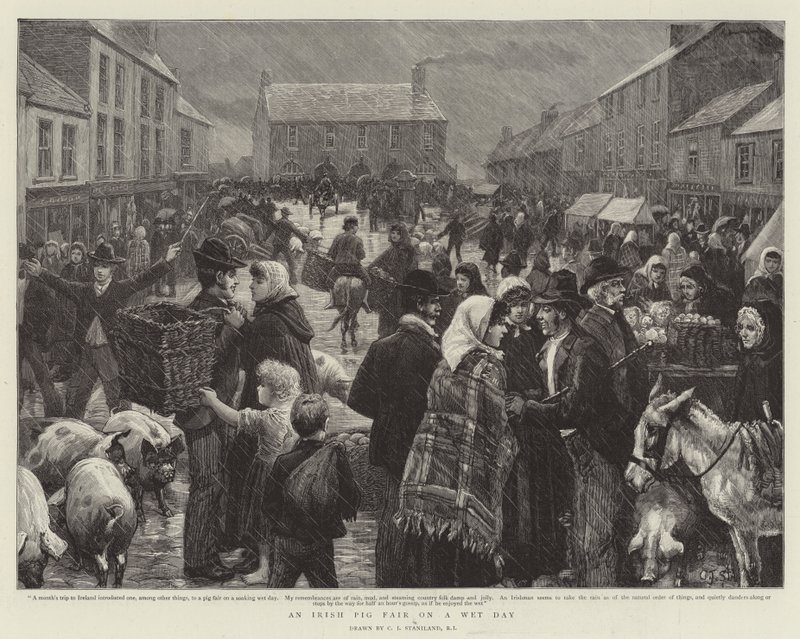 Una Fiera del Maiale Irlandese in un Giorno di Pioggia da Charles J. Staniland