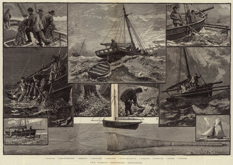 Le nostre industrie della pesca, spratting da Charles J. Staniland