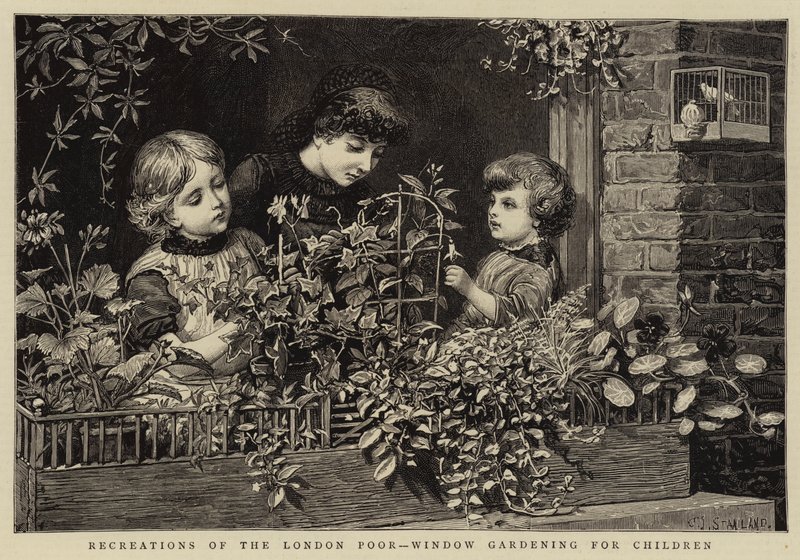 Ricreazioni dei poveri di Londra, giardinaggio per bambini da Charles J. Staniland