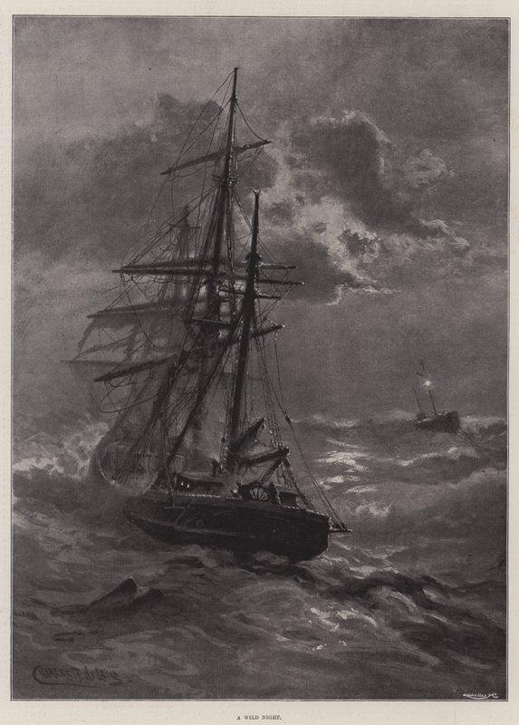 Una notte selvaggia da Charles John de Lacy