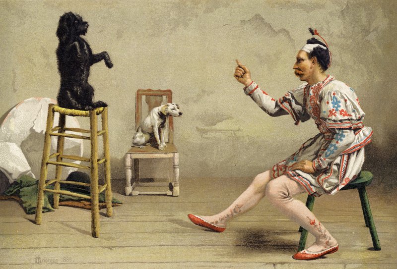 Istruzione obbligatoria da Charles MacIvor or MacIver Grierson