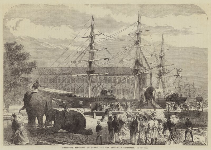 Imbarco degli elefanti a Bombay per la spedizione in Abissinia da Sir John Charles Robinson