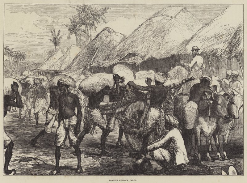 Caricamento di carri trainati da buoi da Sir John Charles Robinson