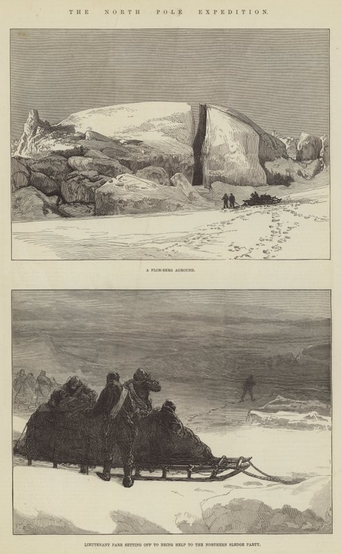 La spedizione al Polo Nord da Sir John Charles Robinson