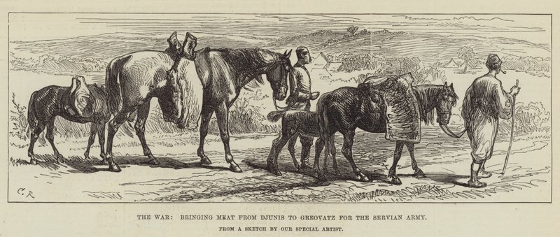 La guerra, portando carne da Djunis a Greovatz per l