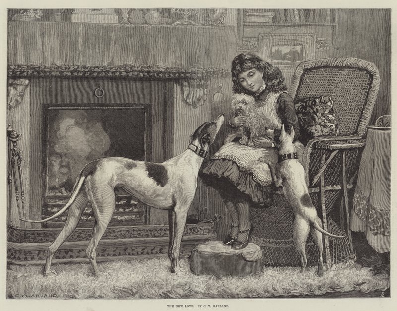 Il nuovo amore da Charles Trevor Garland