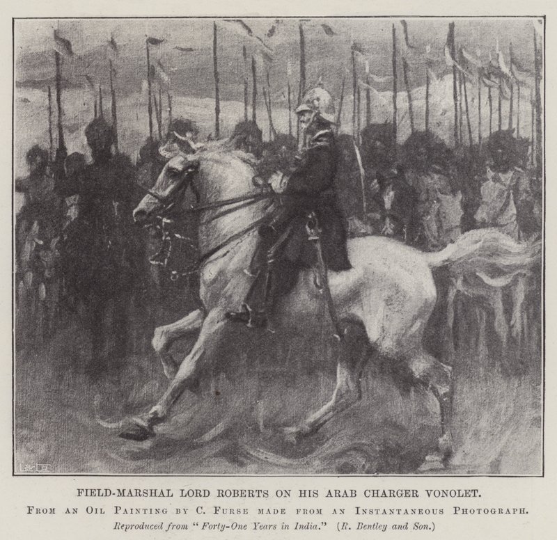Il Maresciallo di Campo Lord Roberts sul suo Cavallo Arabo Vonolet da Charles Wellington Furse