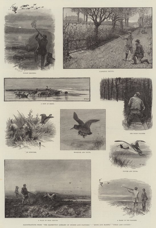 Illustrazioni dalla Biblioteca Badminton di Sport e Passatempi, Brughiera e Palude, Campo e Rifugio da Charles Whymper