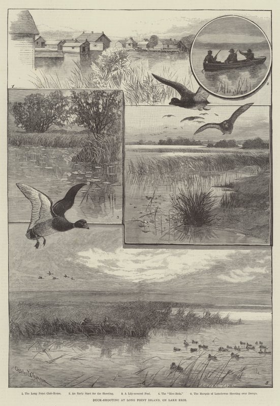 Caccia alle anatre a Long Point Island, sul Lago Erie (incisione) da Charles (after) Whymper