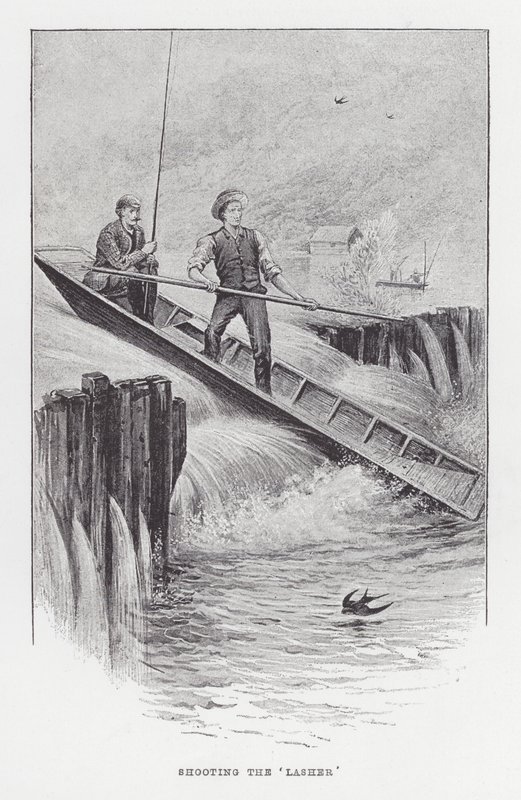 Pesca: Sparare al 