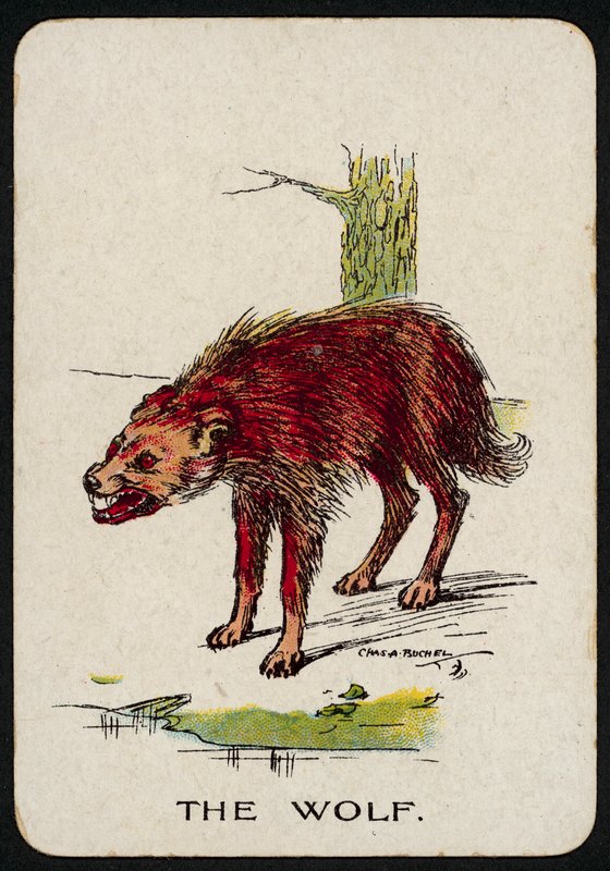 Il lupo da Charles A. Buchel