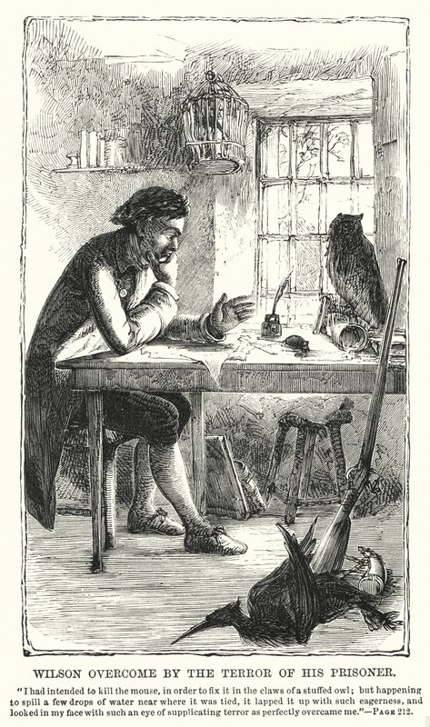 Wilson sopraffatto dal terrore del suo prigioniero da Charles Altamont Doyle