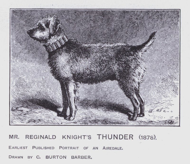 Il tuono di Mr Reginald Knight da Charles Burton (after) Barber