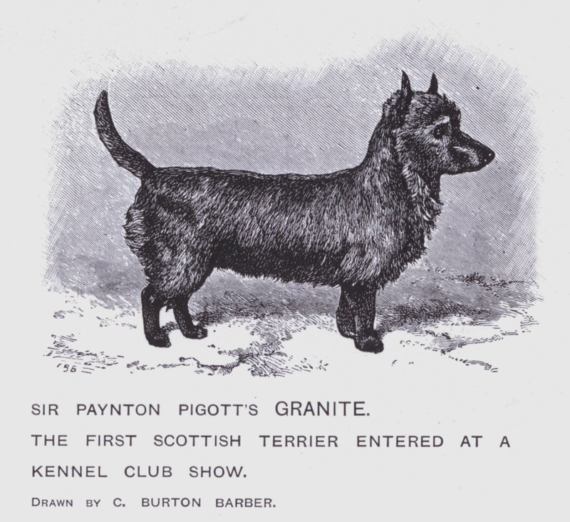 Il granito di Sir Paynton Pigott da Charles Burton (after) Barber