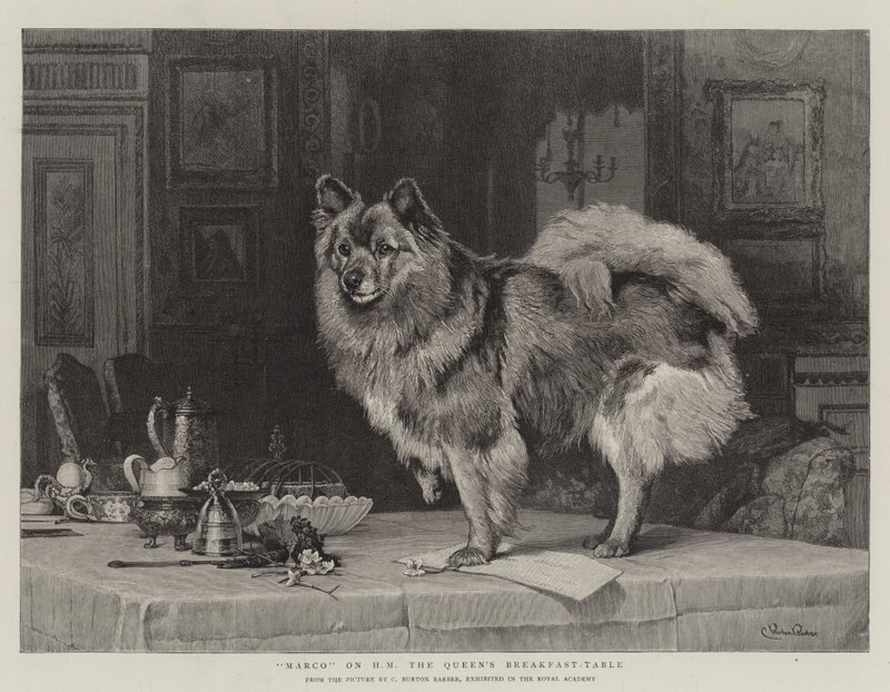 Marco sulla tavola della colazione di Sua Maestà la Regina da Charles Burton