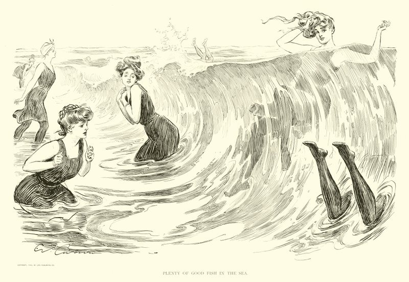 Illustrazione per The Social Ladder da Charles Dana Gibson