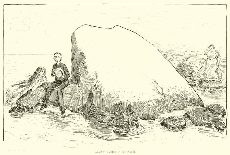 Illustrazione per La scala sociale da Charles Dana Gibson