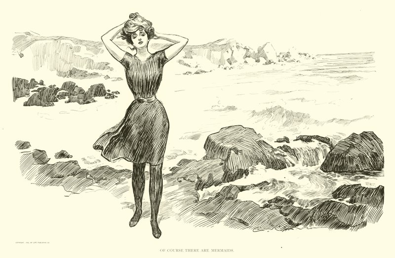 Illustrazione per La scala sociale da Charles Dana Gibson
