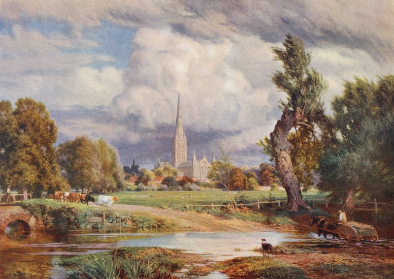 Cattedrale di Salisbury da Charles Edward Johnson