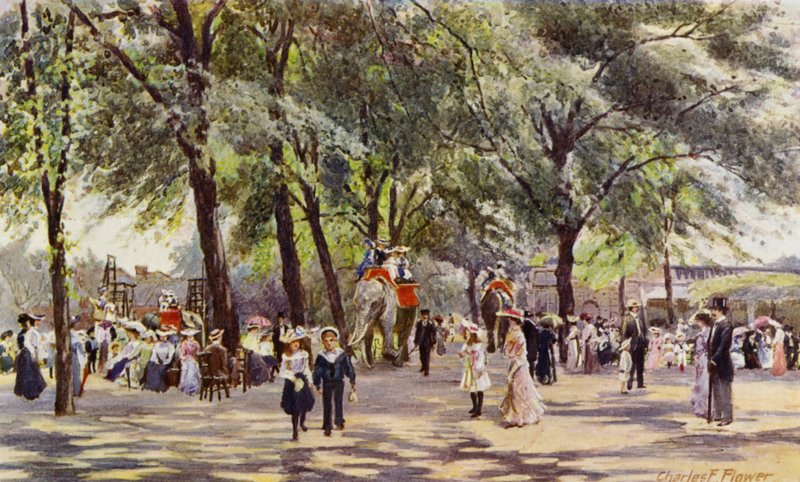 Zoo di Londra: Passeggiata principale, con elefanti da Charles Edwin Flower