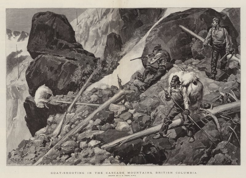 Caccia alla capra nelle Cascade Mountains, Columbia Britannica da Charles Edwin Fripp