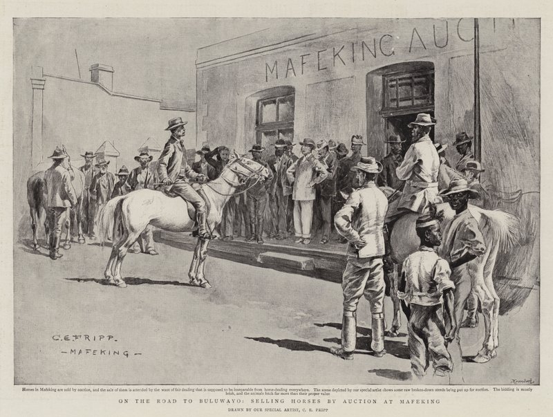 Sulla strada per Bulawayo, vendita di cavalli all