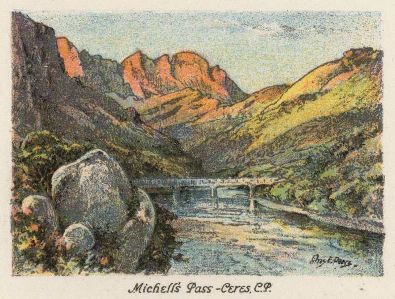 Sudafrica: Michell
