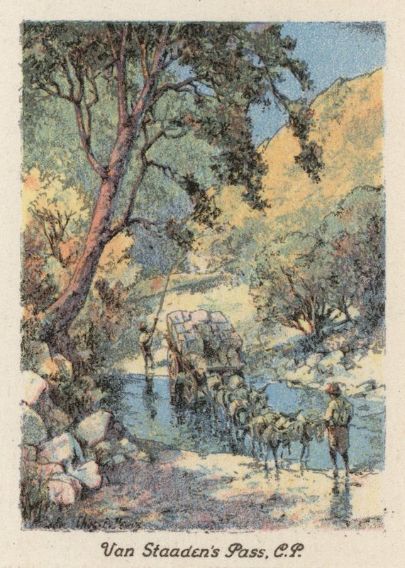Sudafrica: Passo di Van Staaden, CP da Charles Ernest Peers