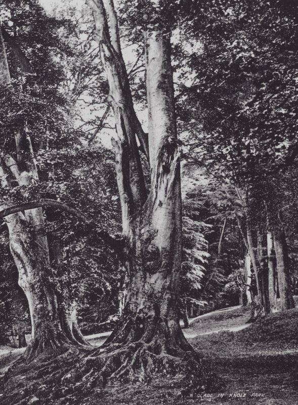 Una radura nel parco di Knole da Charles Essenhigh Corke