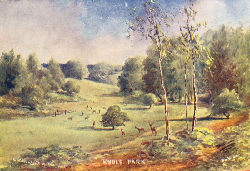 Knole House: Ghiandai nel Parco da Charles Essenhigh Corke