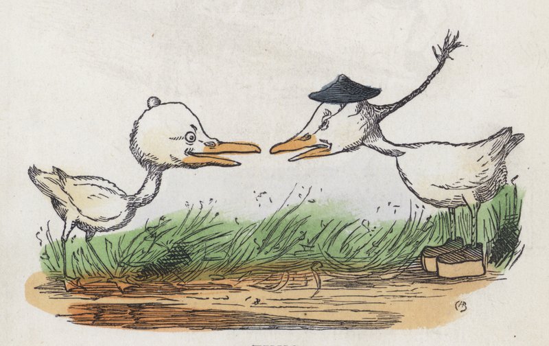 Due uccelli che si affrontano da Charles Henry (after) Bennett